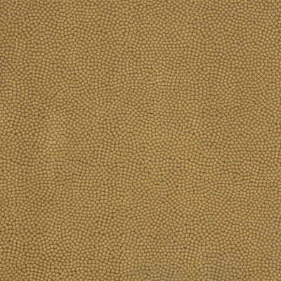 beautymark60-beautymark-teak-kravet-couture