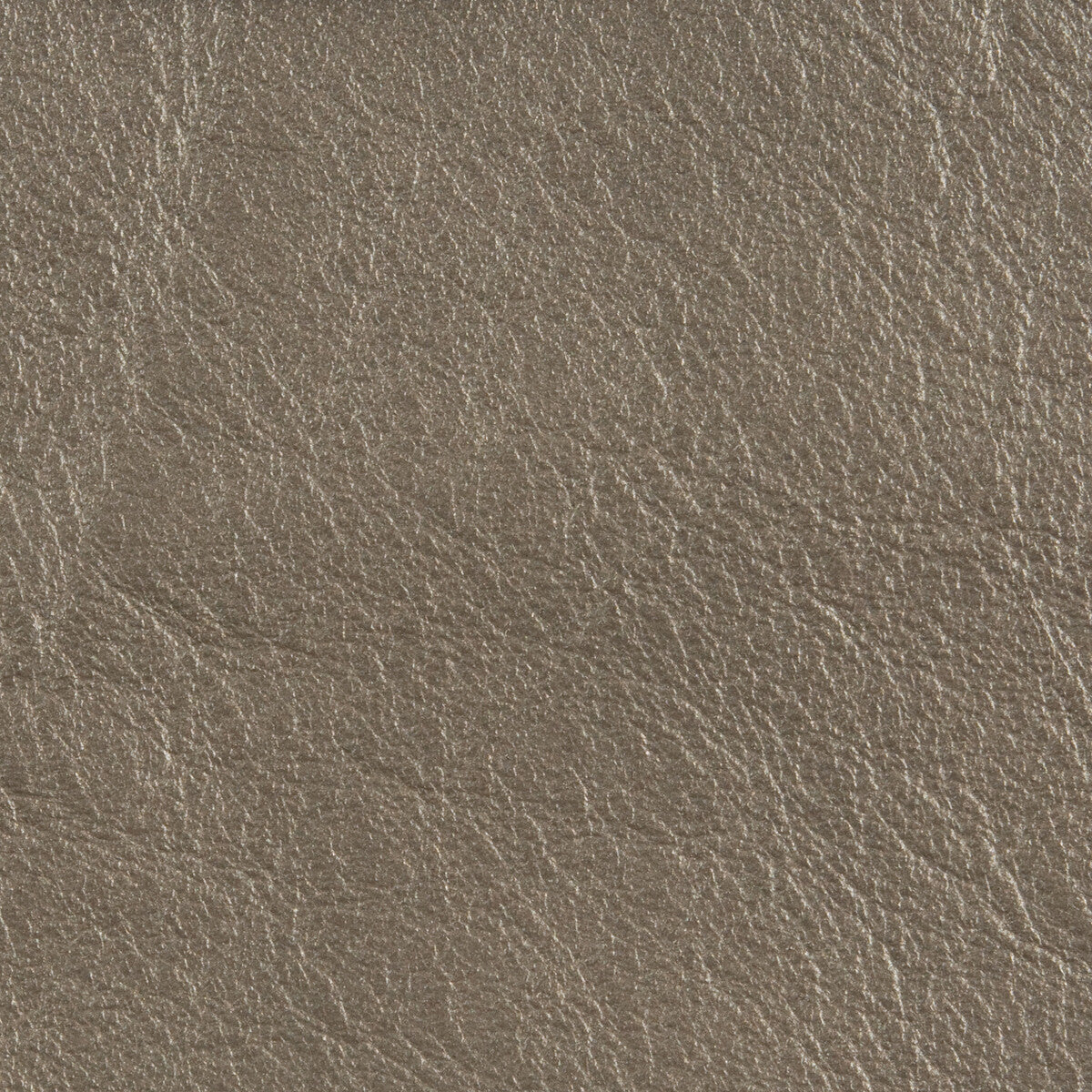 l-countryplatinum0-l-country-platinum-kravet-design