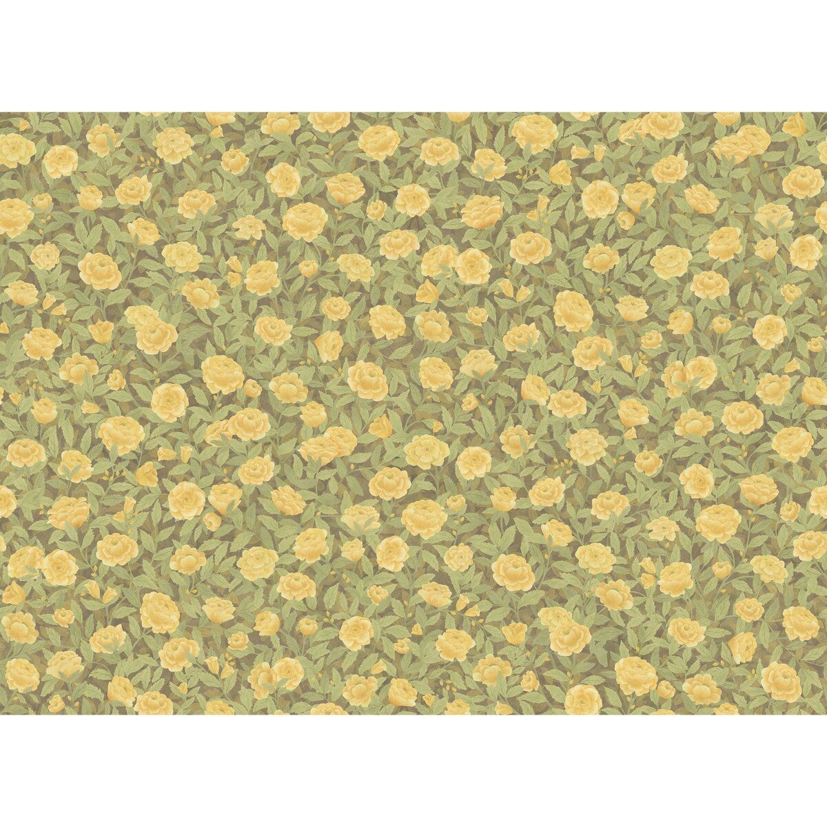 f1212011cs0-idyll-roses-linen-honey-cole-son