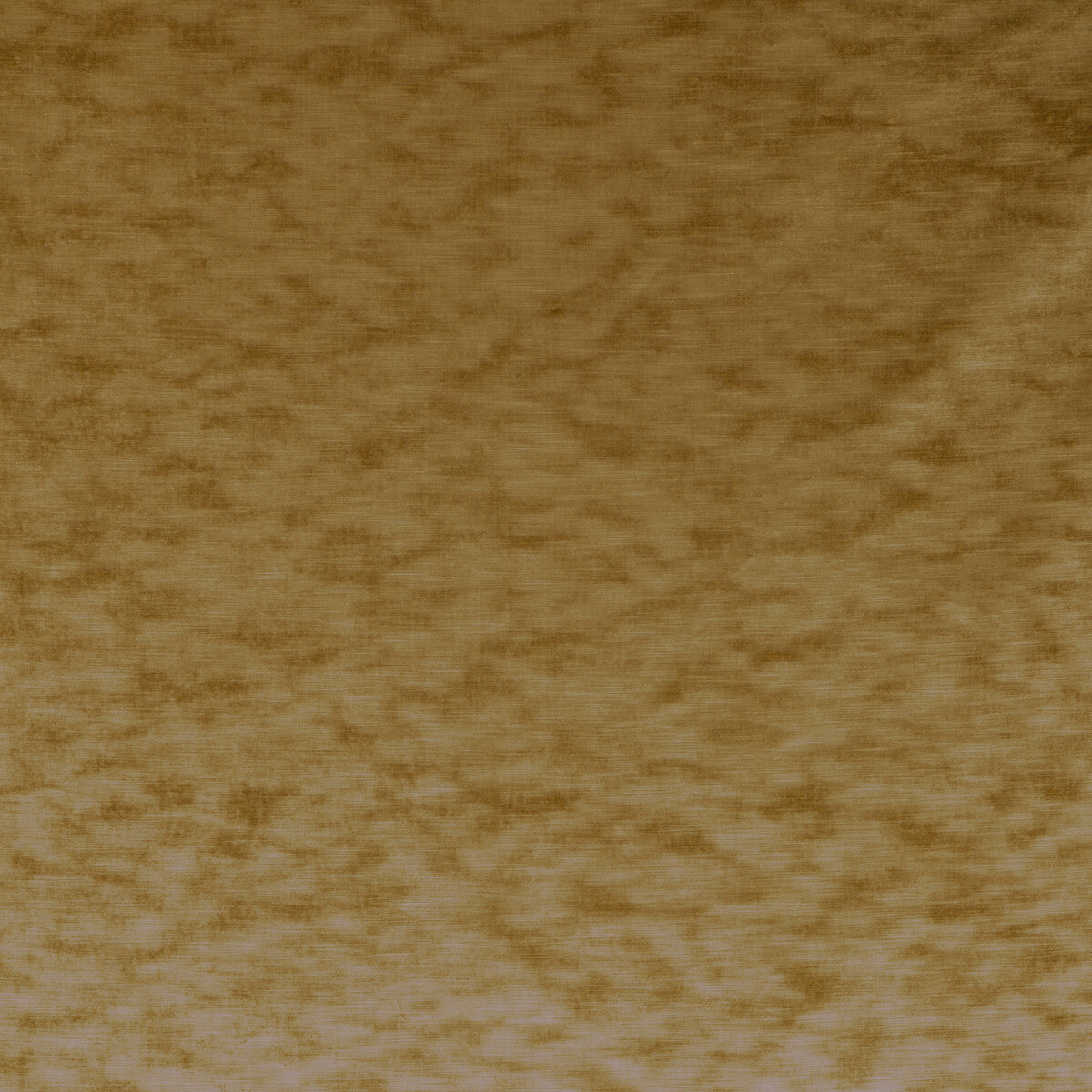 343294040-high-impact-ochre-kravet-couture