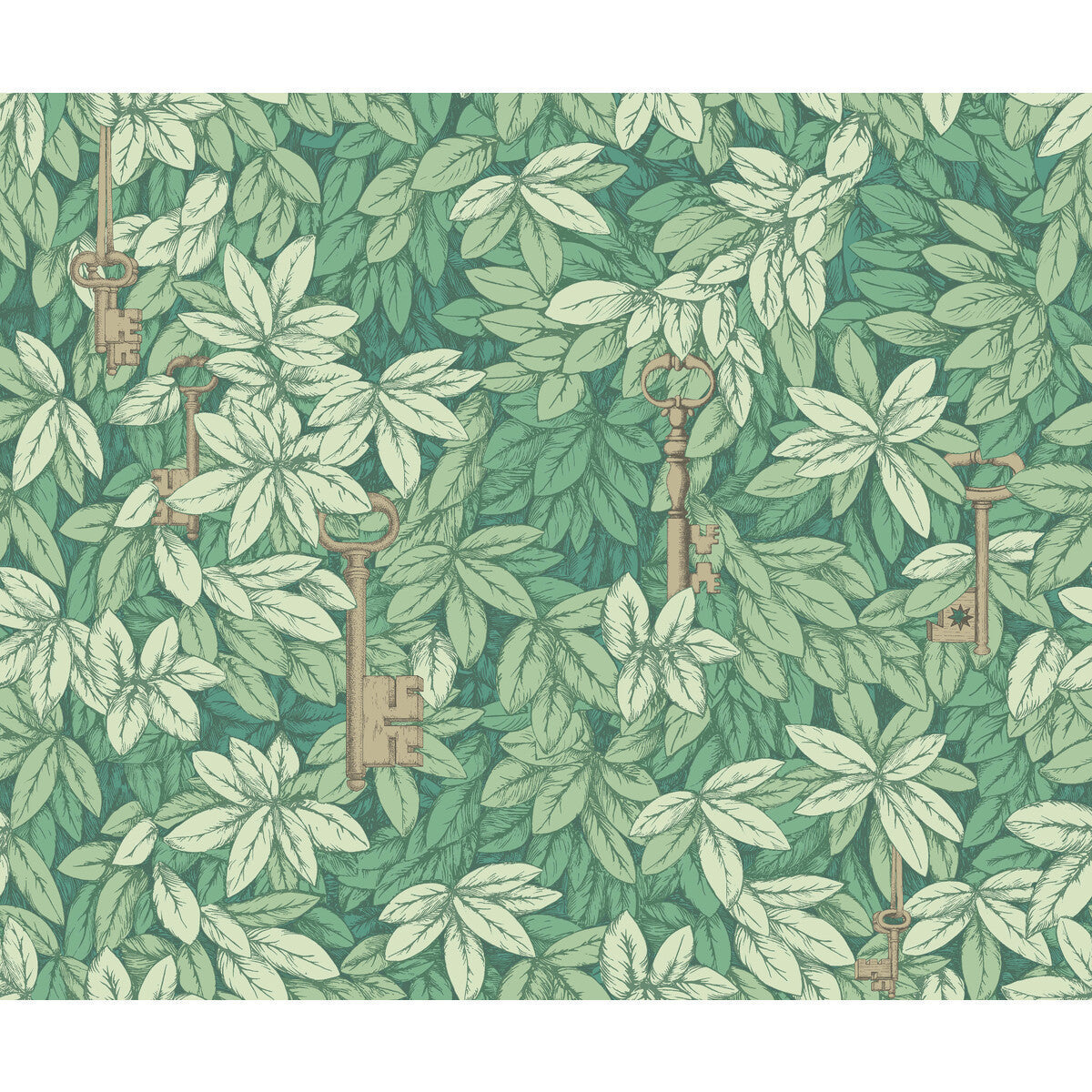 11426050cs0-chiavi-segrete-forest-cole-son