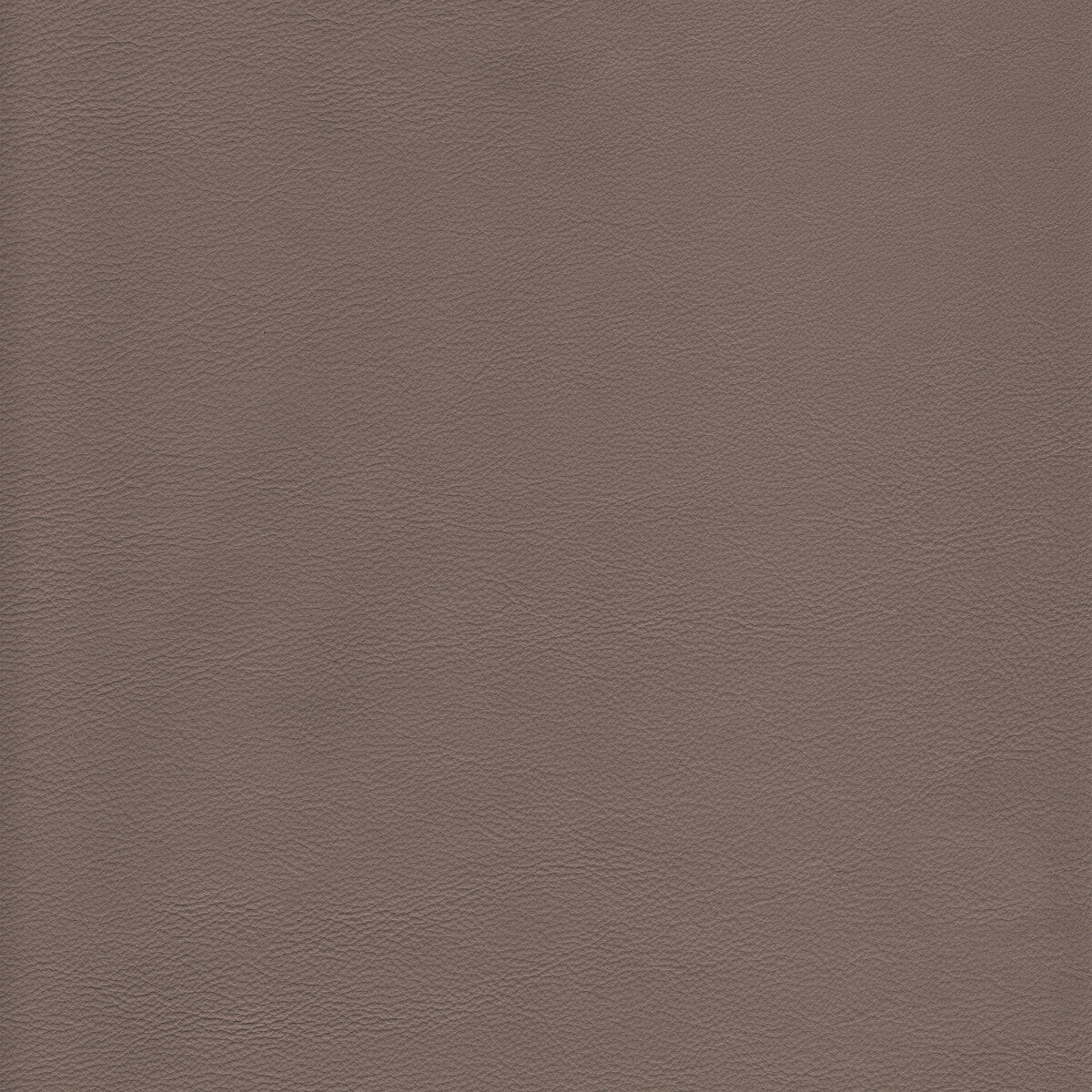 l-howdydolphin0-kravet-design-l-howdy-dolphin-kravet-design