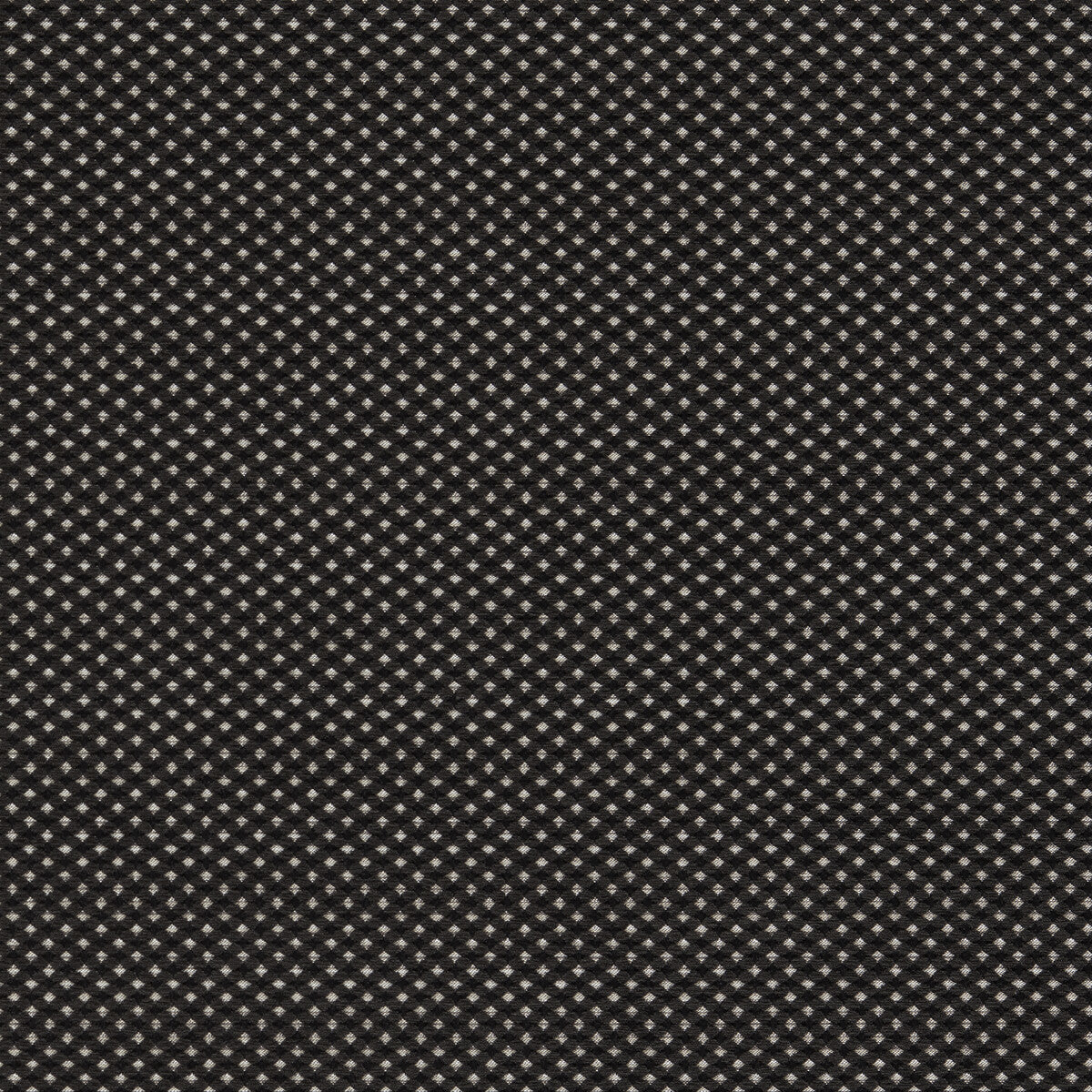 f162006cac0-pavo-noir-clarke-and-clarke