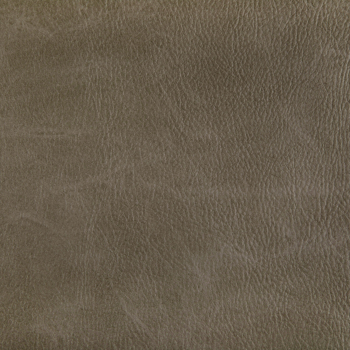 toni60-toni-field-kravet-contract - KRAVET CONTRACT Fabric