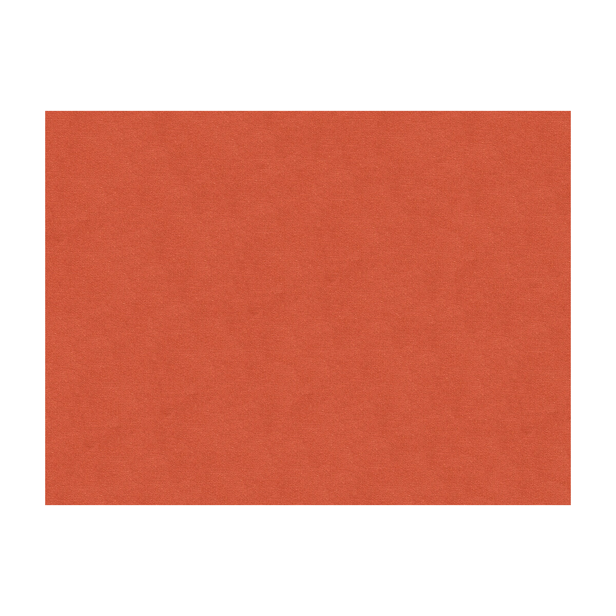 br-897791030-lubeck-cotton-velvet-shell-brunschwig-fils - BRUNSCHWIG & FILS Fabric