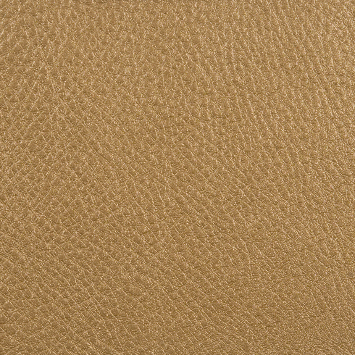 l-countrygold-rush0-l-country-kravet-design