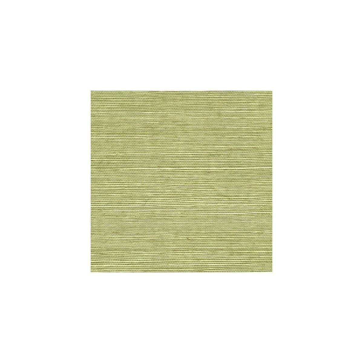wss4530wt0-sisal-pea-pod-winfield-thybony - WINFIELD THYBONY Wallpaper