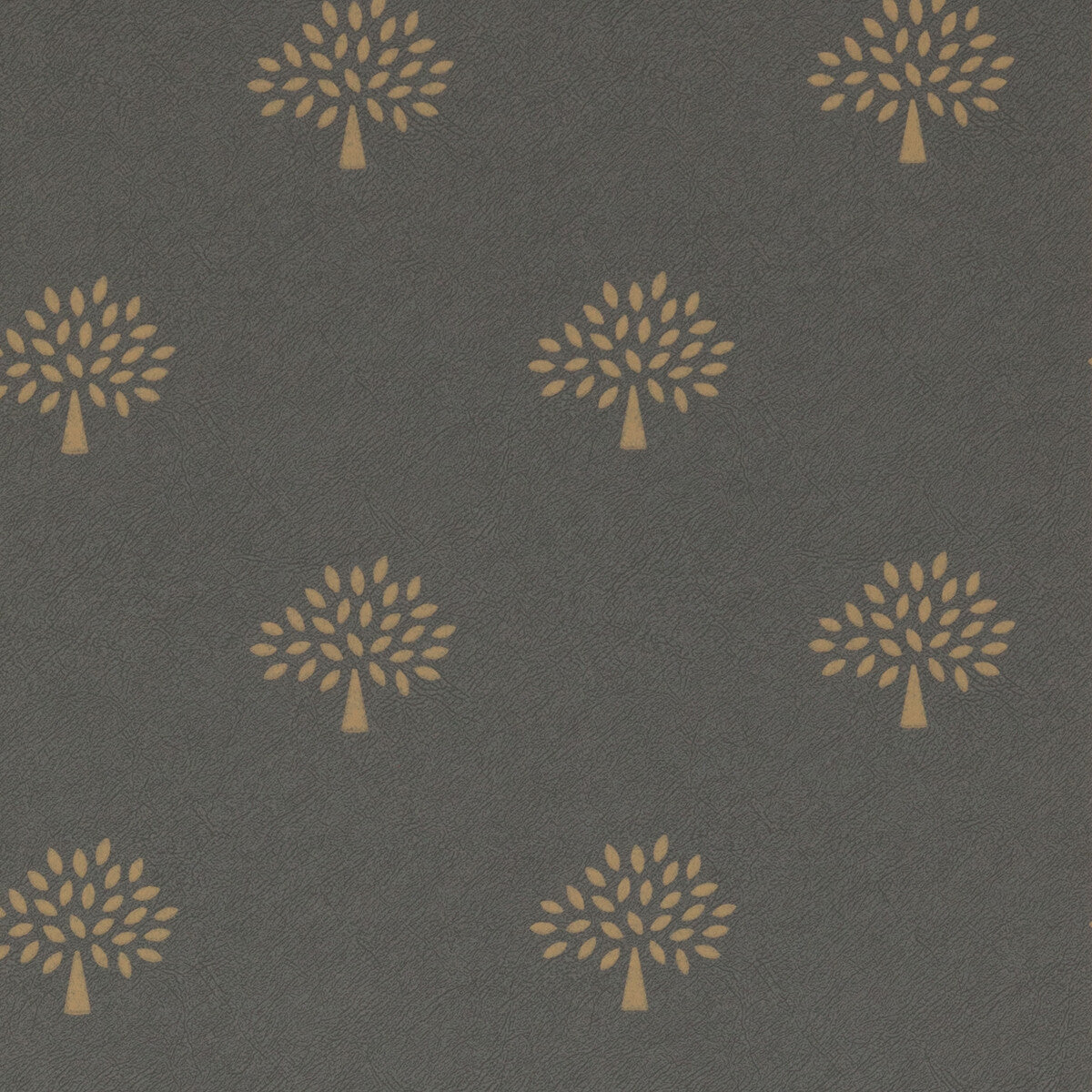 fg088a1010-grand-mulberry-tree-charcoal-mulberry