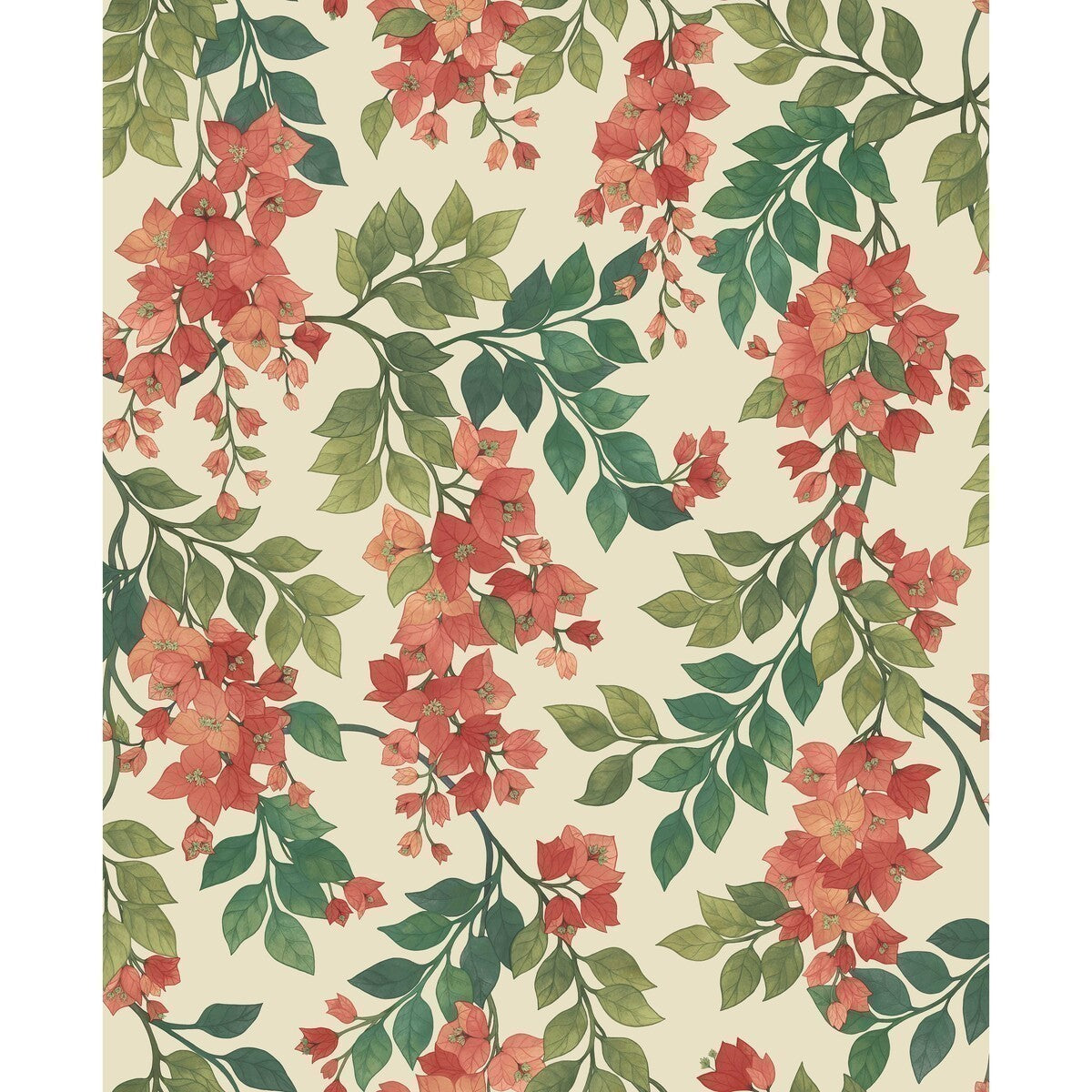 1176016cs0-bougainvillea-rougeolive-grnemeraldcrm-cole-son - COLE & SON Wallpaper