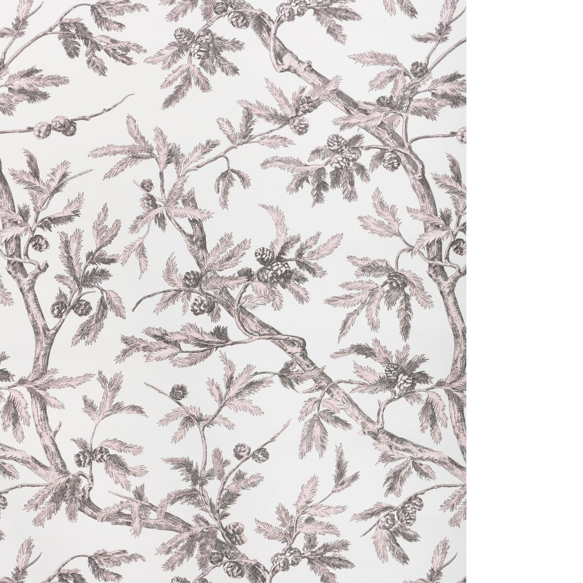 p8025100170-branches-de-pin-wc-pink-brunschwig-fils - BRUNSCHWIG & FILS Wallpaper