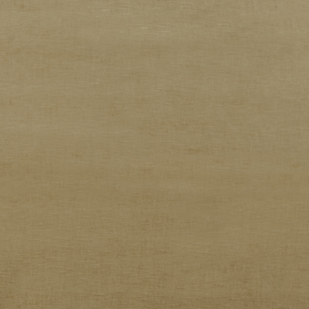 bf106921700-essential-velvet-camel-g-p-j-baker - G P & J BAKER Fabric