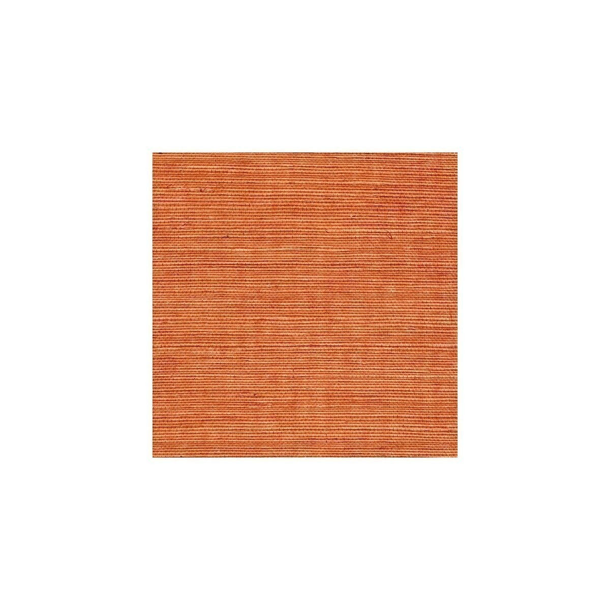 wss4541wt0-sisal-amber-winfield-thybony - WINFIELD THYBONY Wallpaper