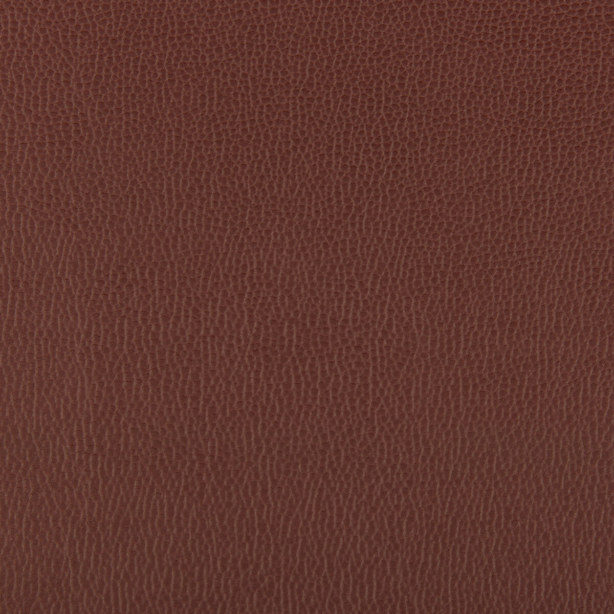 lenox960-lenox-raisin-kravet-contract