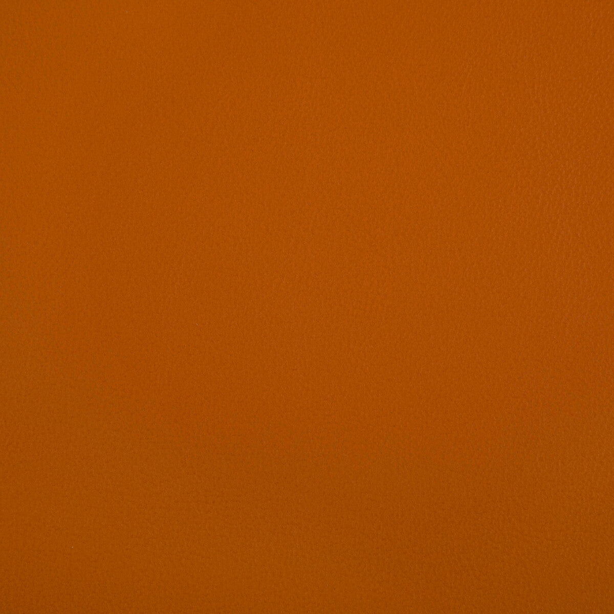 rand120-rand-squash-kravet-contract