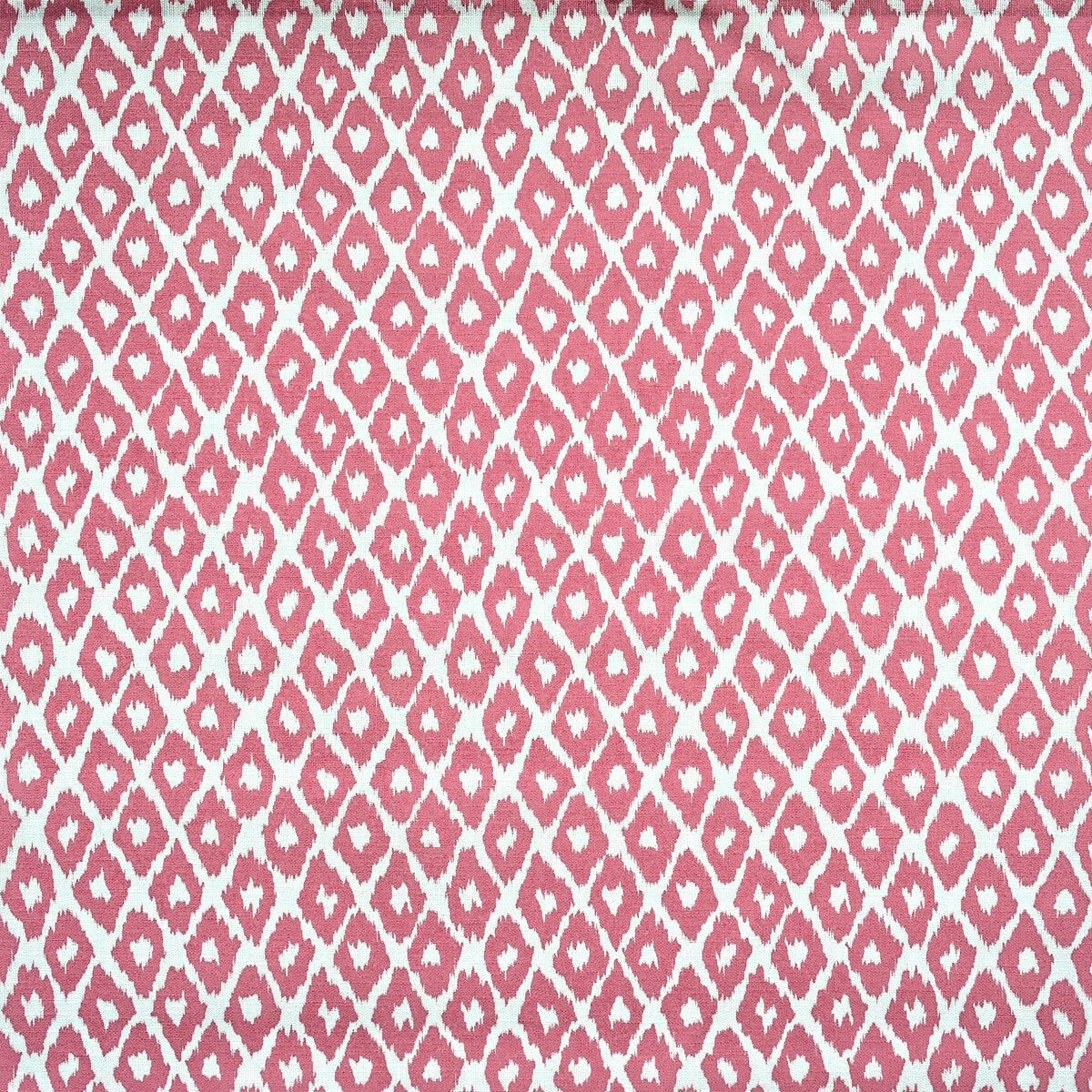 am100349170-gypsum-outdoor-tropic-kravet-couture