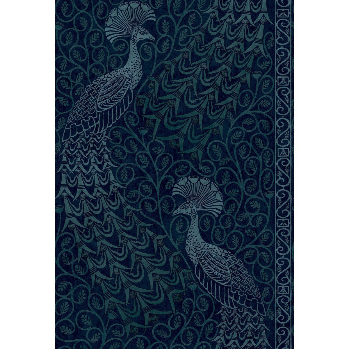 1168028cs0-pavo-parade-m-petrolink-cole-son