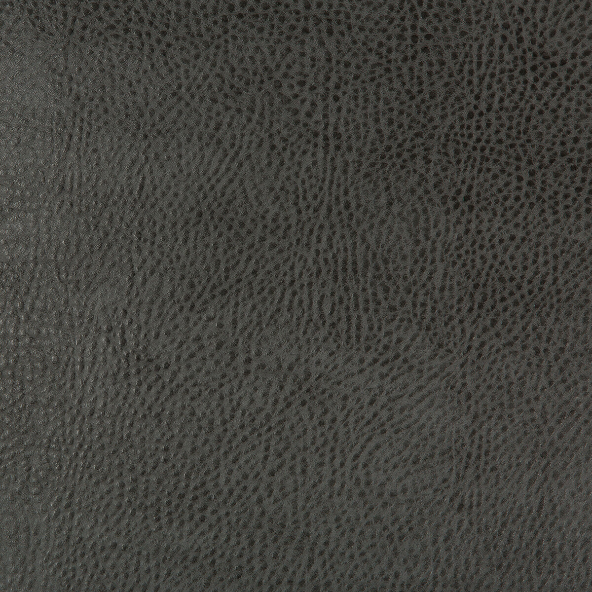 beholder210-kravet-design-beholder-21-kravet-design