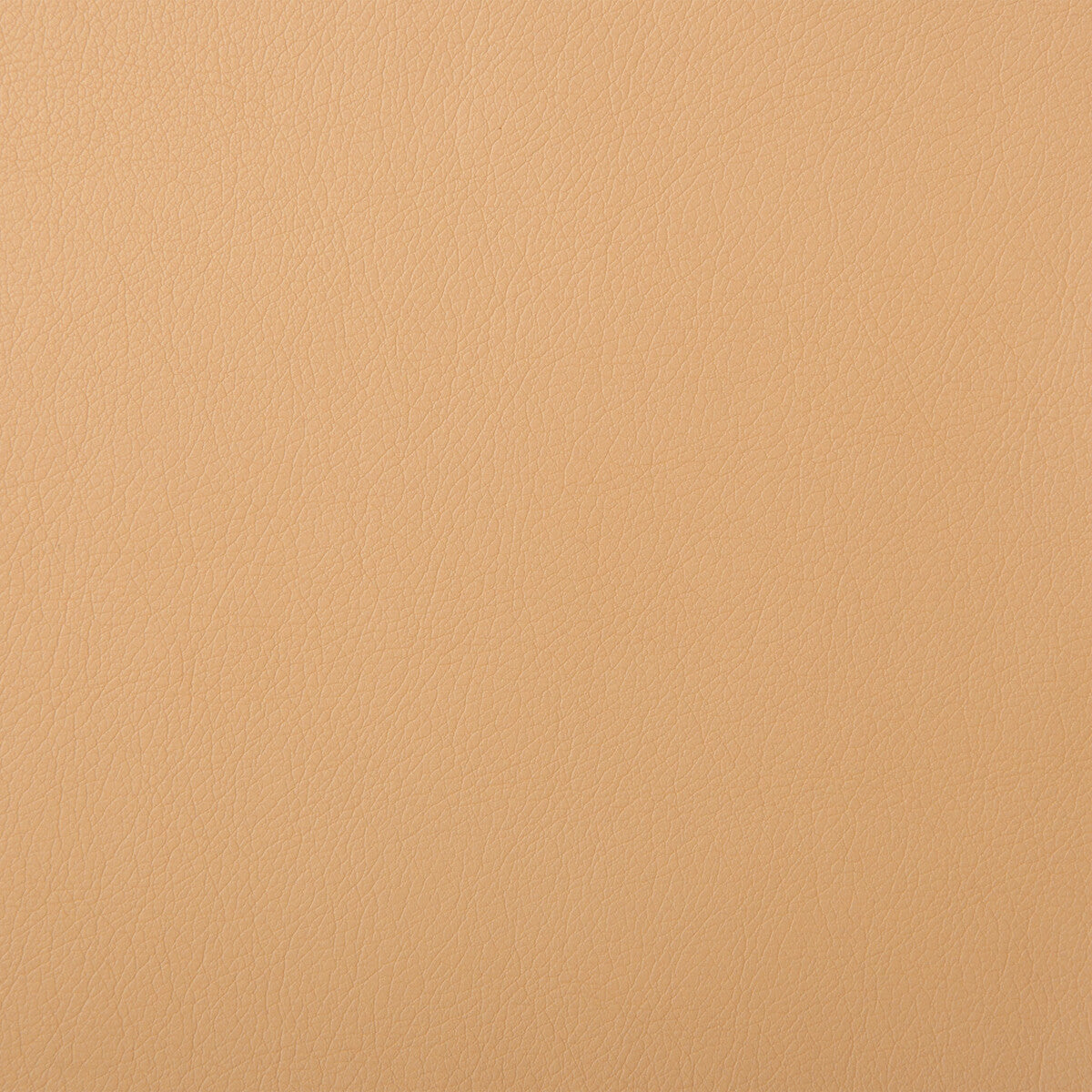 solaris160-kravet-design-solaris-16-kravet-design
