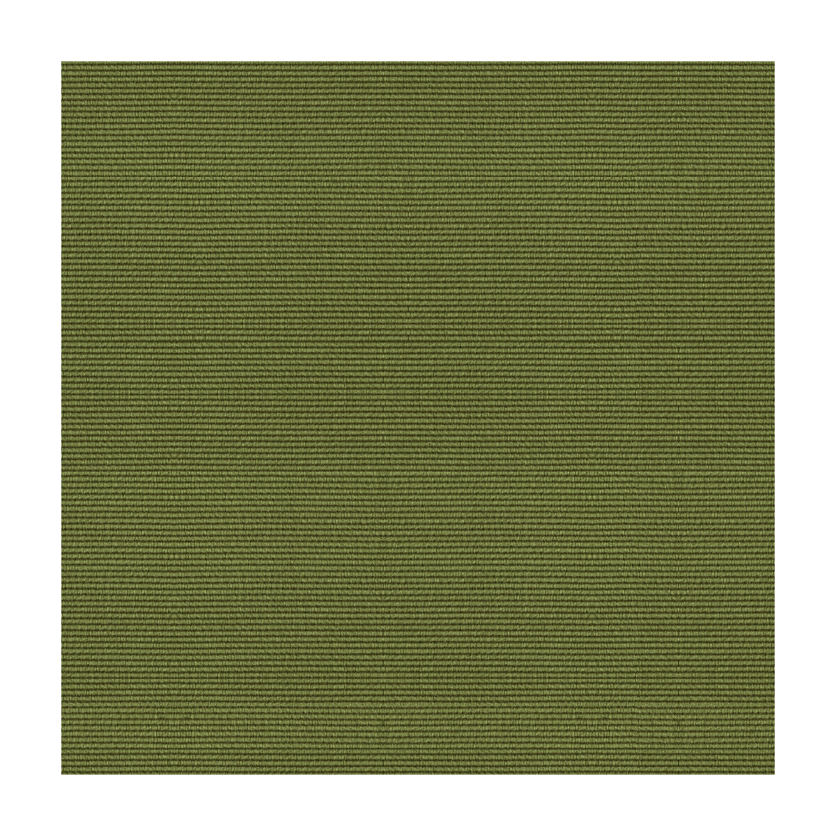 br-838064060-bosporus-ottoman-texture-moss-brunschwig-fils - BRUNSCHWIG & FILS Fabric