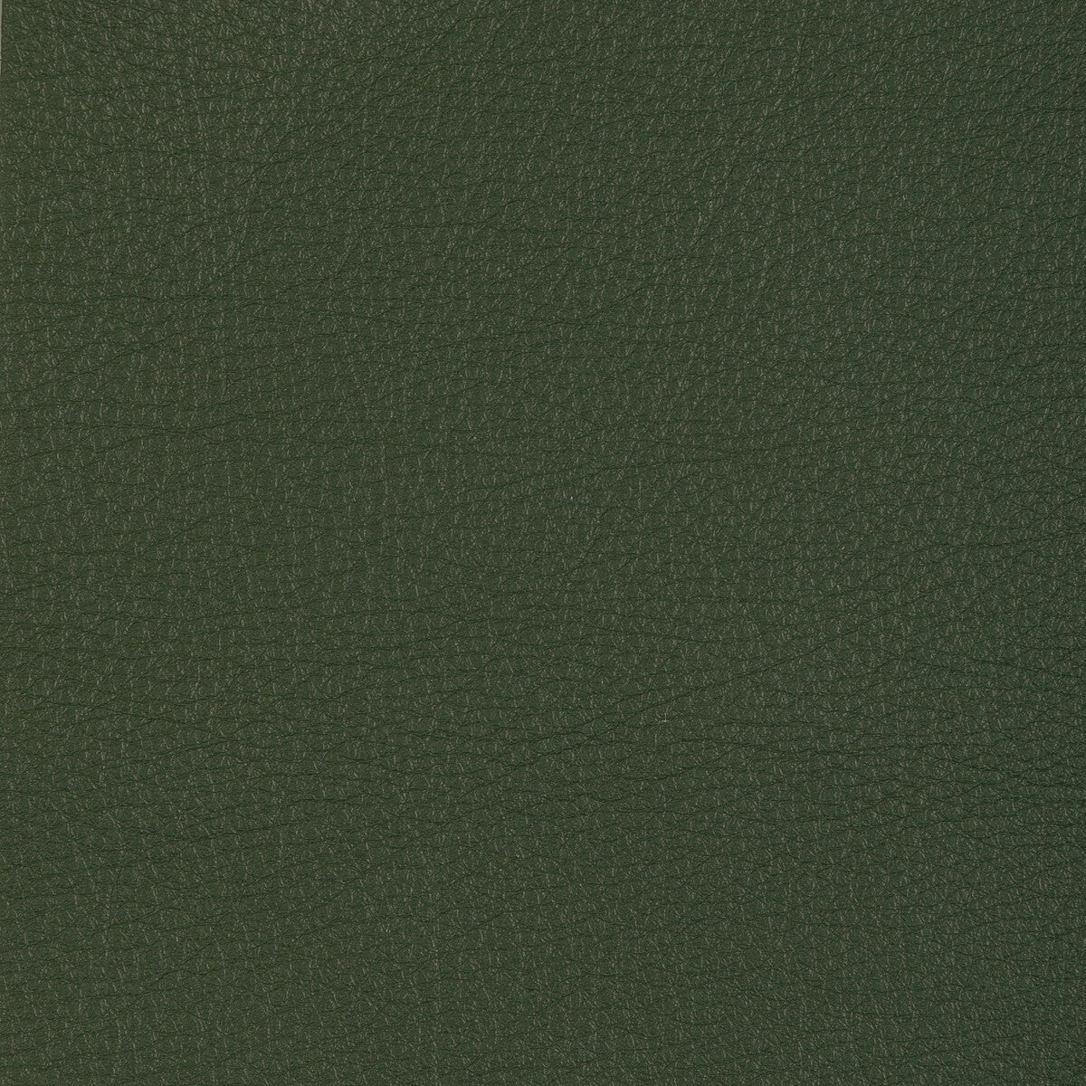 l-manzanosage0-kravet-design-l-manzano-sage-kravet-design