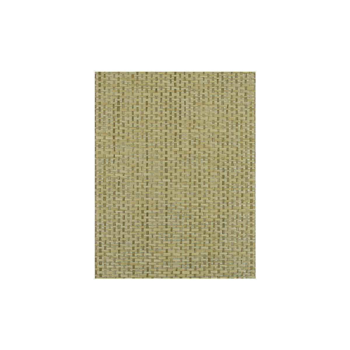 wiw2555wt0-playa-natural-winfield-thybony - WINFIELD THYBONY Wallpaper