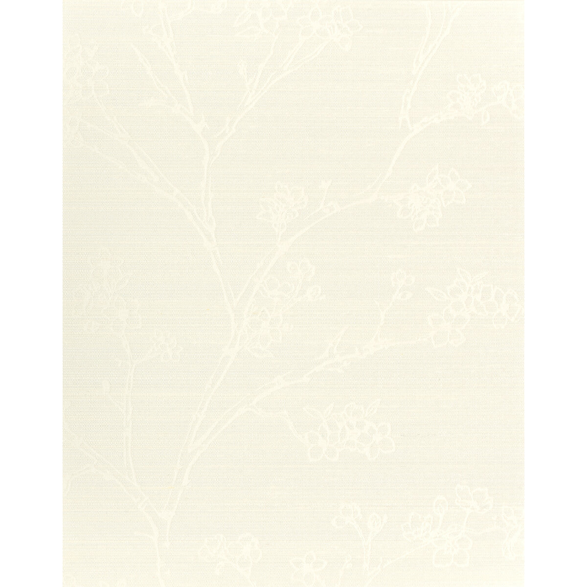 wns5509wt0-kaisa-sugar-winfield-thybony - WINFIELD THYBONY Wallpaper