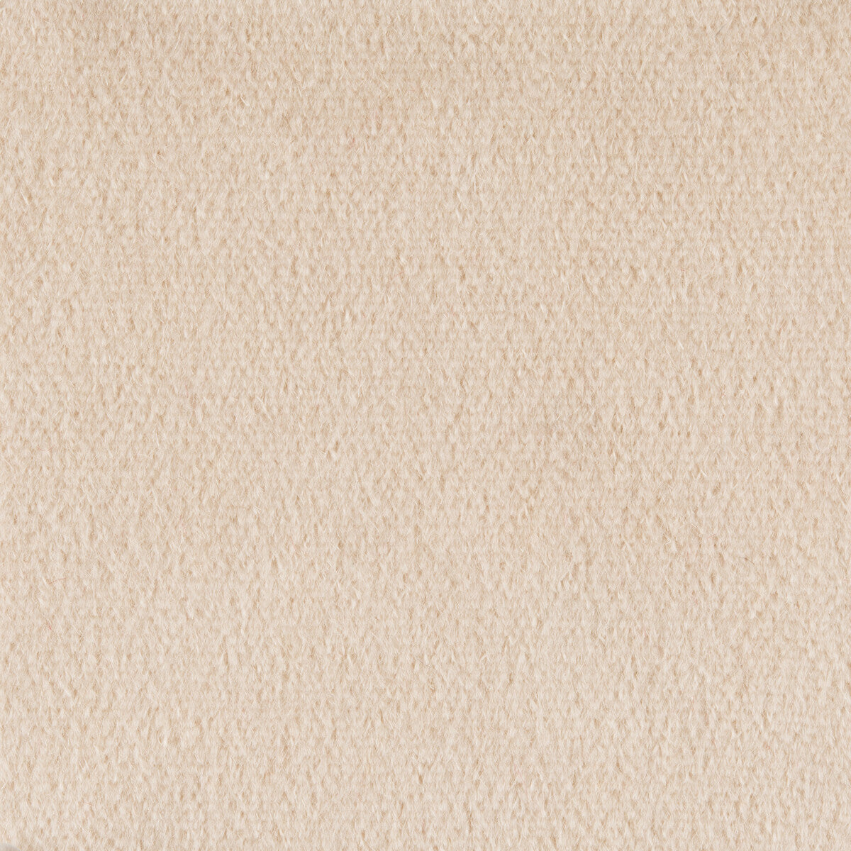 br-897780120-autun-mohair-velvet-champagne-brunschwig-fils - BRUNSCHWIG & FILS Fabric