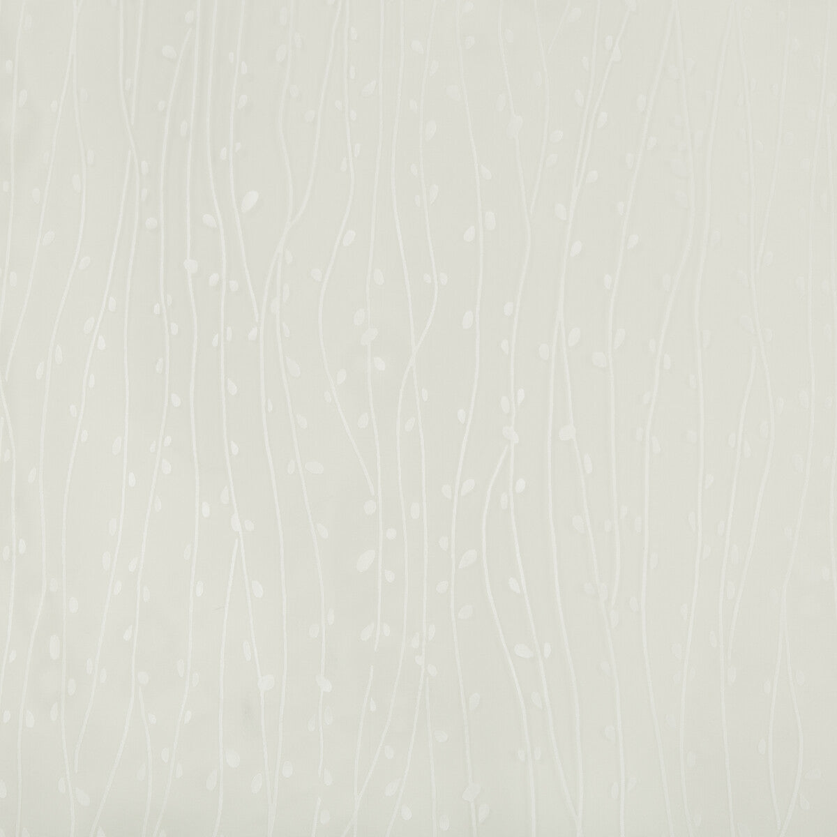 426810-kravet-basics-4268-1 - KRAVET BASICS Fabric