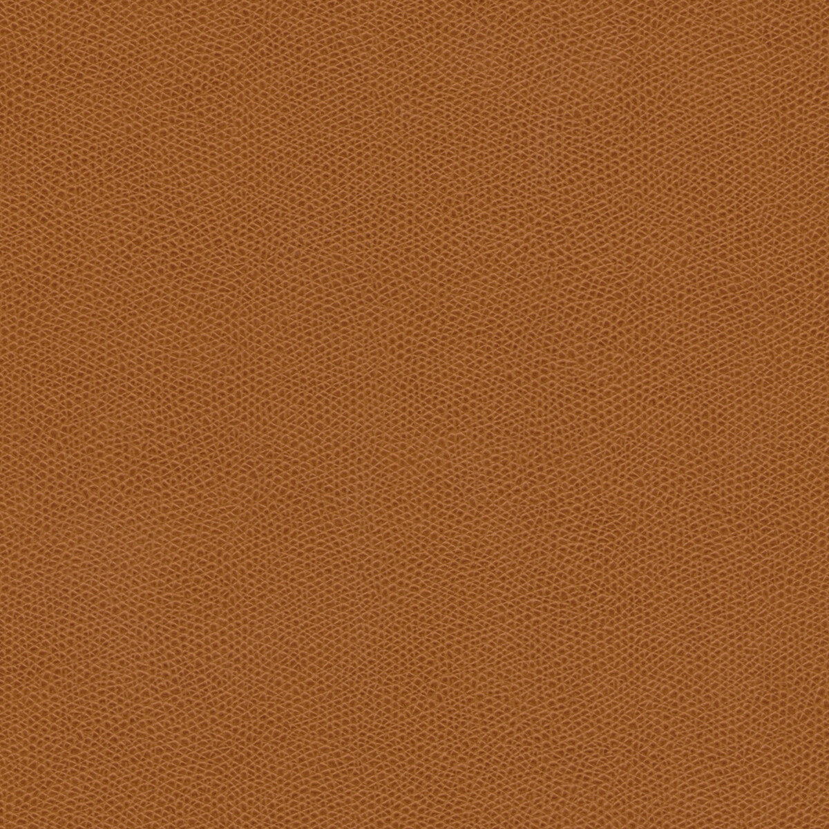 cured60-kravet-design-cured-6-kravet-design