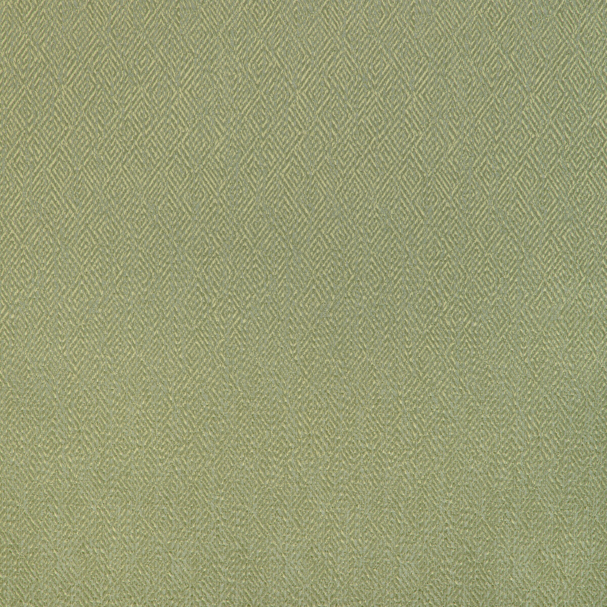 802315230-pipet-texture-leaf-brunschwig-fils