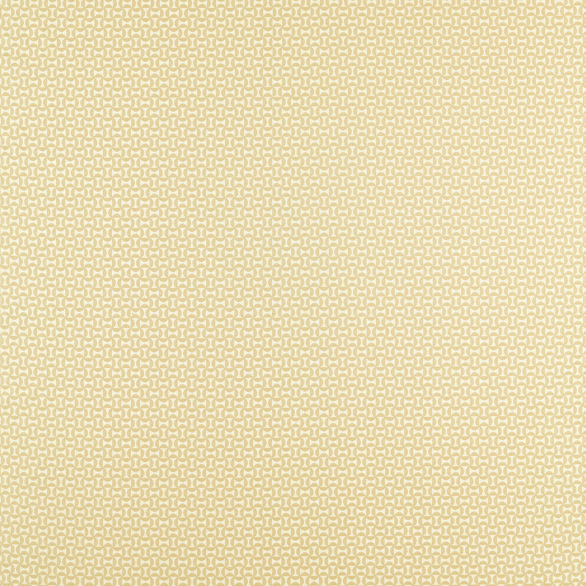 nzac132934scn0-forma-raffia-scion