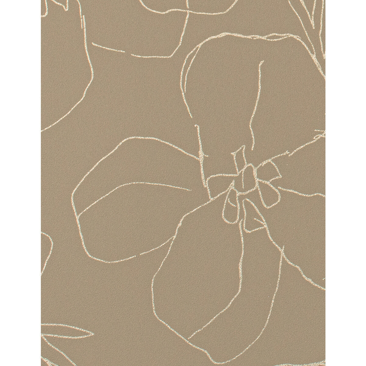 wtn1005pwt0-garden-tapiocap-winfield-thybony - WINFIELD THYBONY Wallpaper