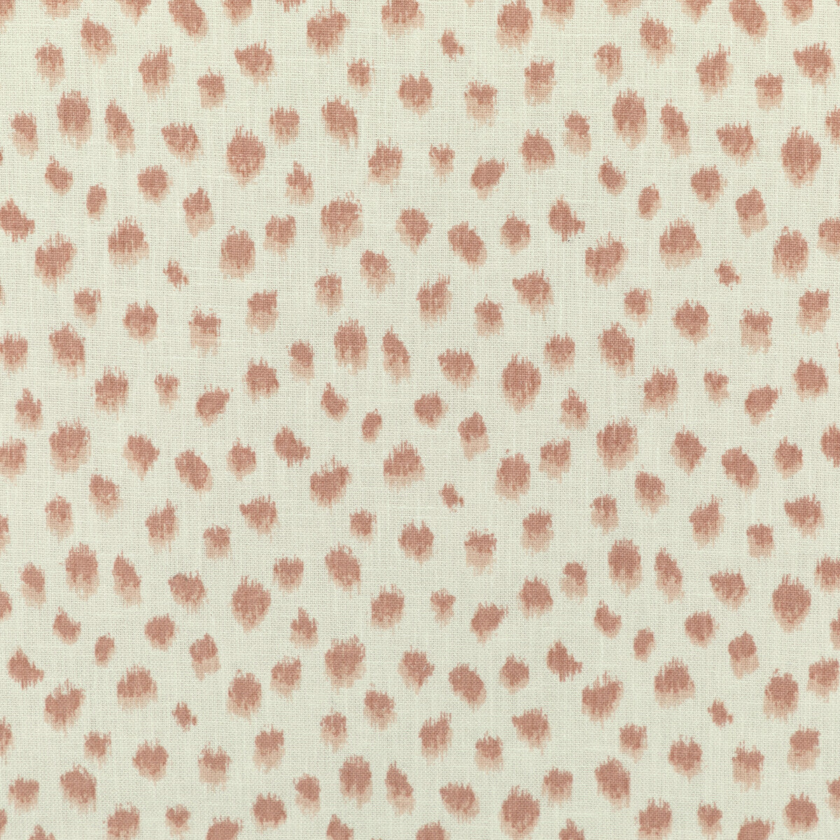 jungleikat170-kravet-basics-jungleikat-17