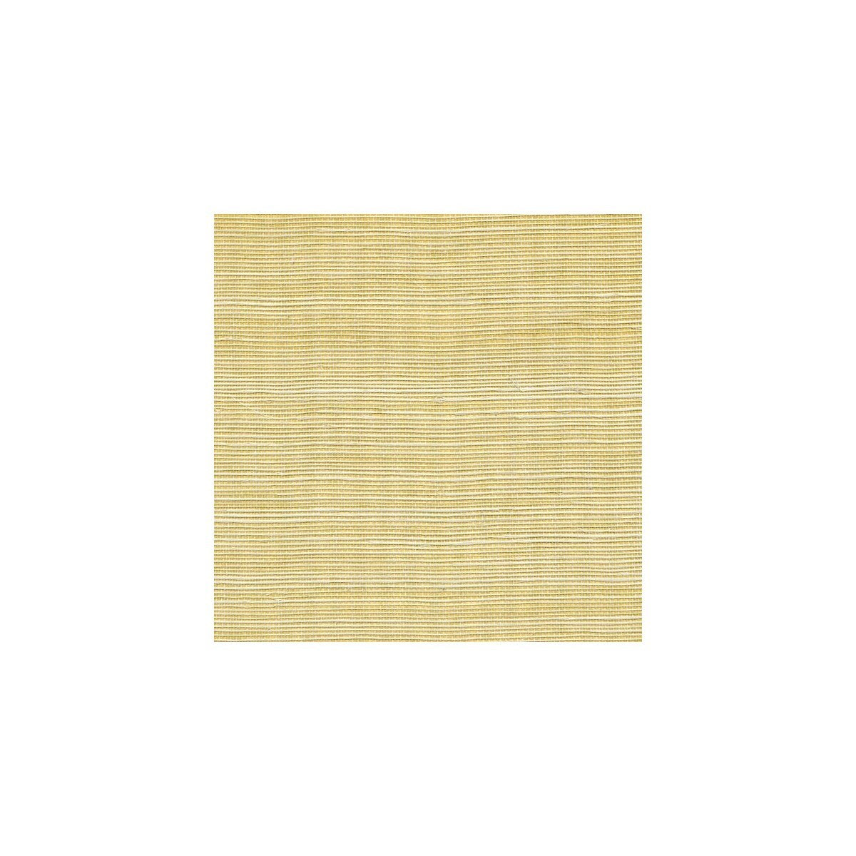 wss4520wt0-metallic-sisal-glistening-ore-winfield-thybony