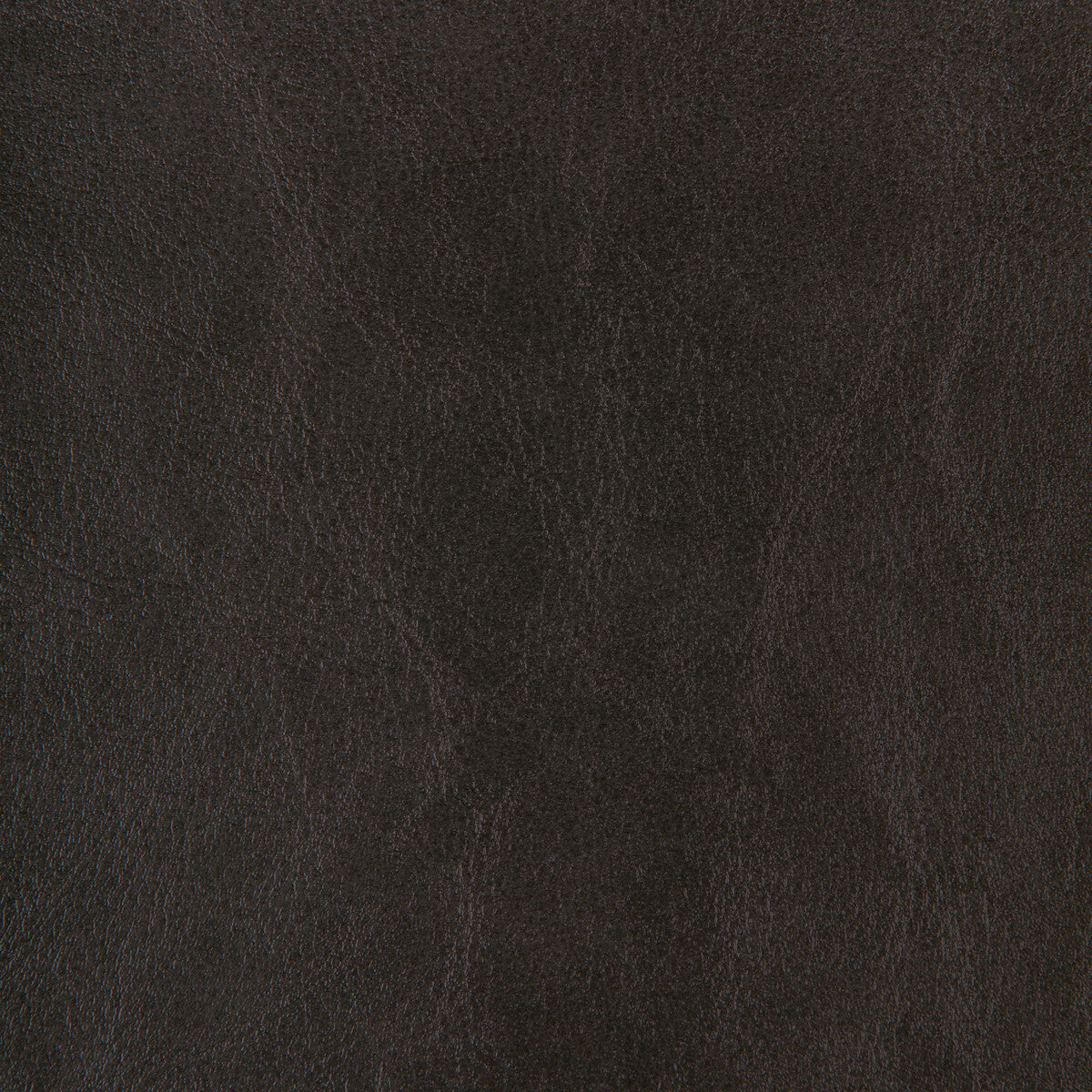 zenon80-kravet-design-zenon-8-kravet-design - KRAVET DESIGN Fabric