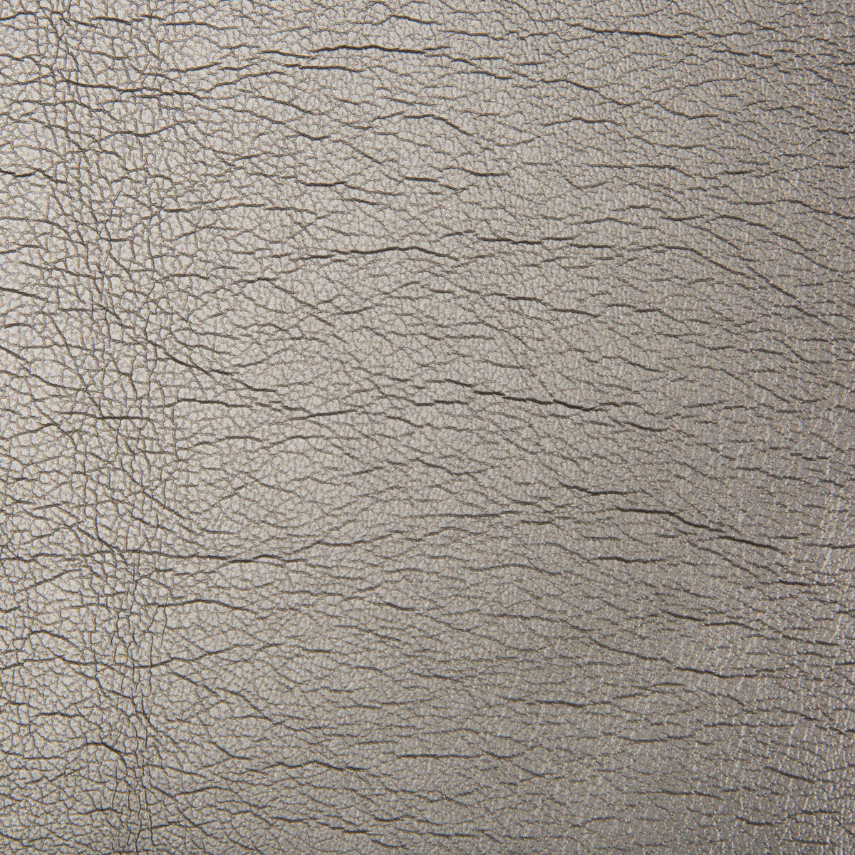 maximo210-maximo-carbon-kravet-contract