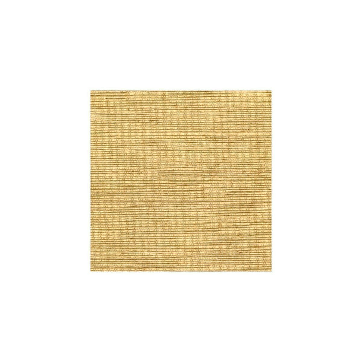 wss4536wt0-sisal-brush-winfield-thybony