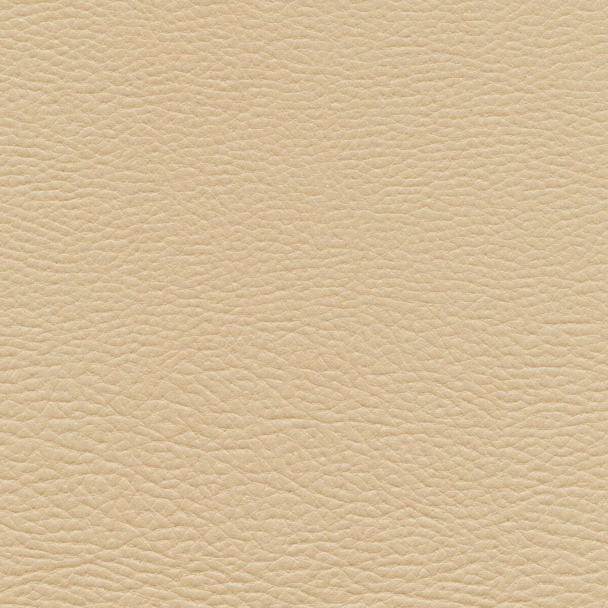 mashak110-kravet-design-mashak-11-kravet-design