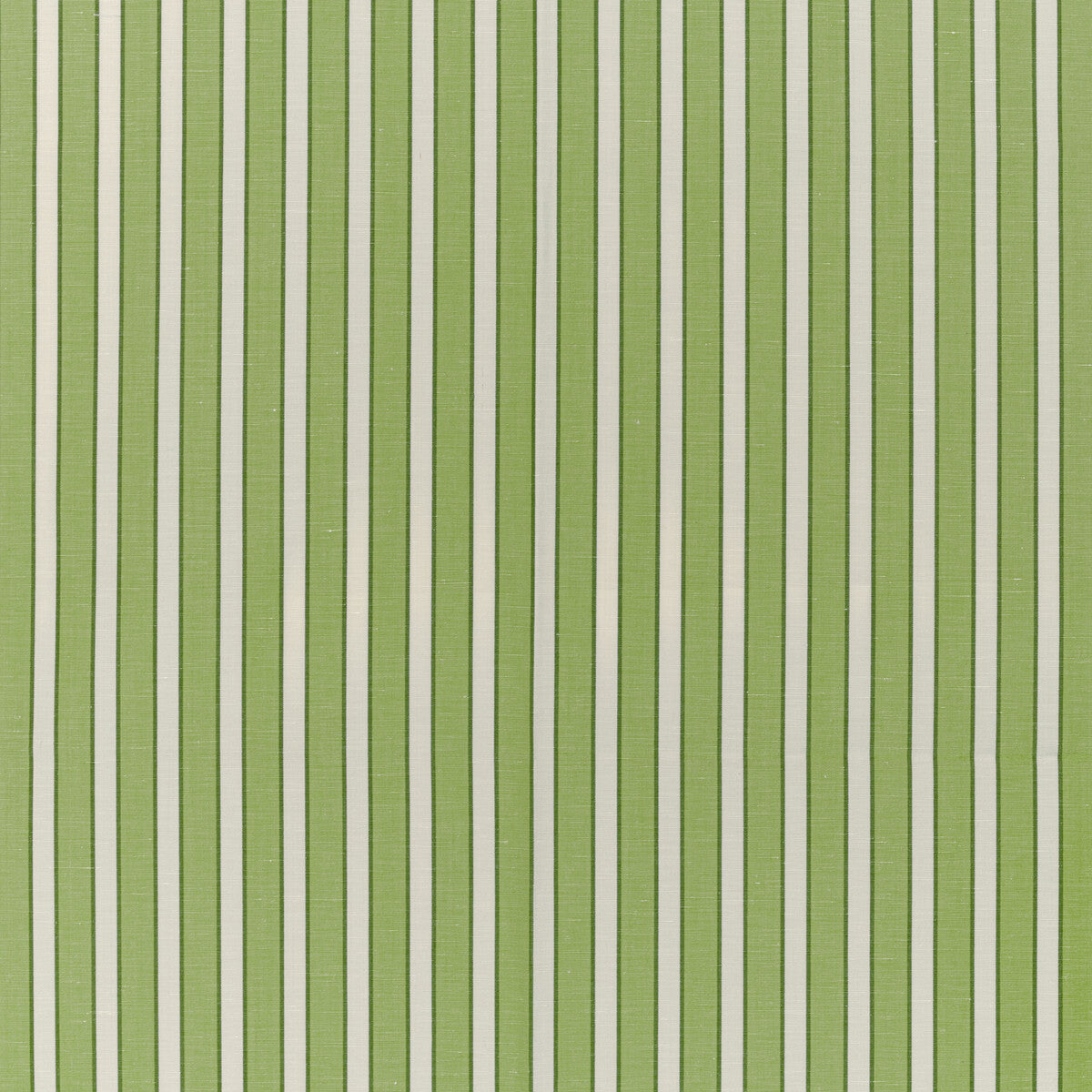 8022117330-rouen-stripe-green-brunschwig-fils - BRUNSCHWIG & FILS Fabric