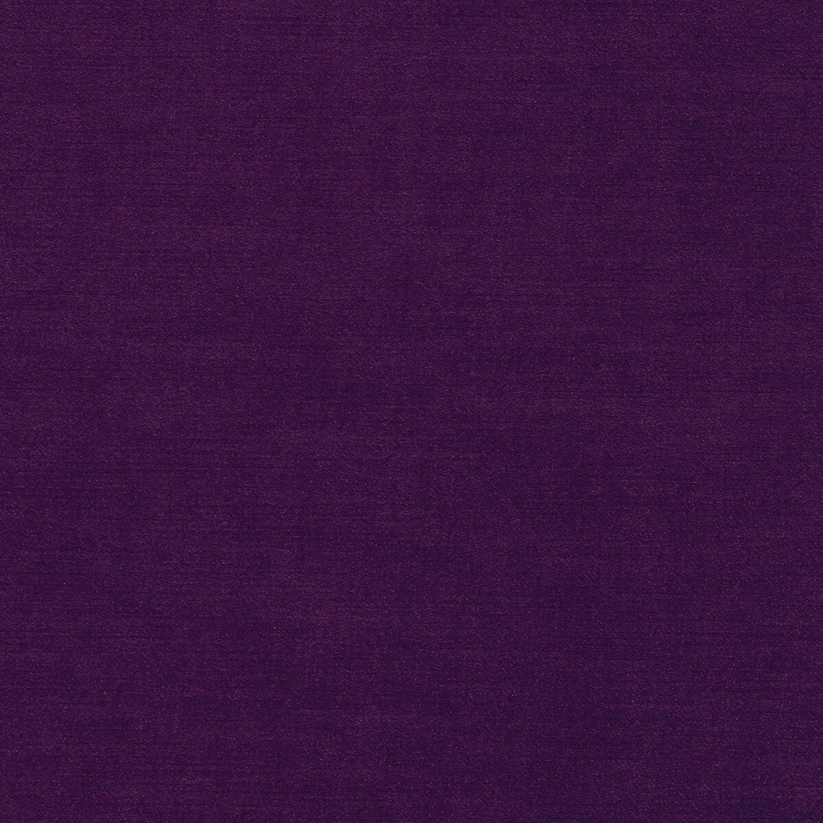 f158309cac0-riva-damson-clarke-and-clarke