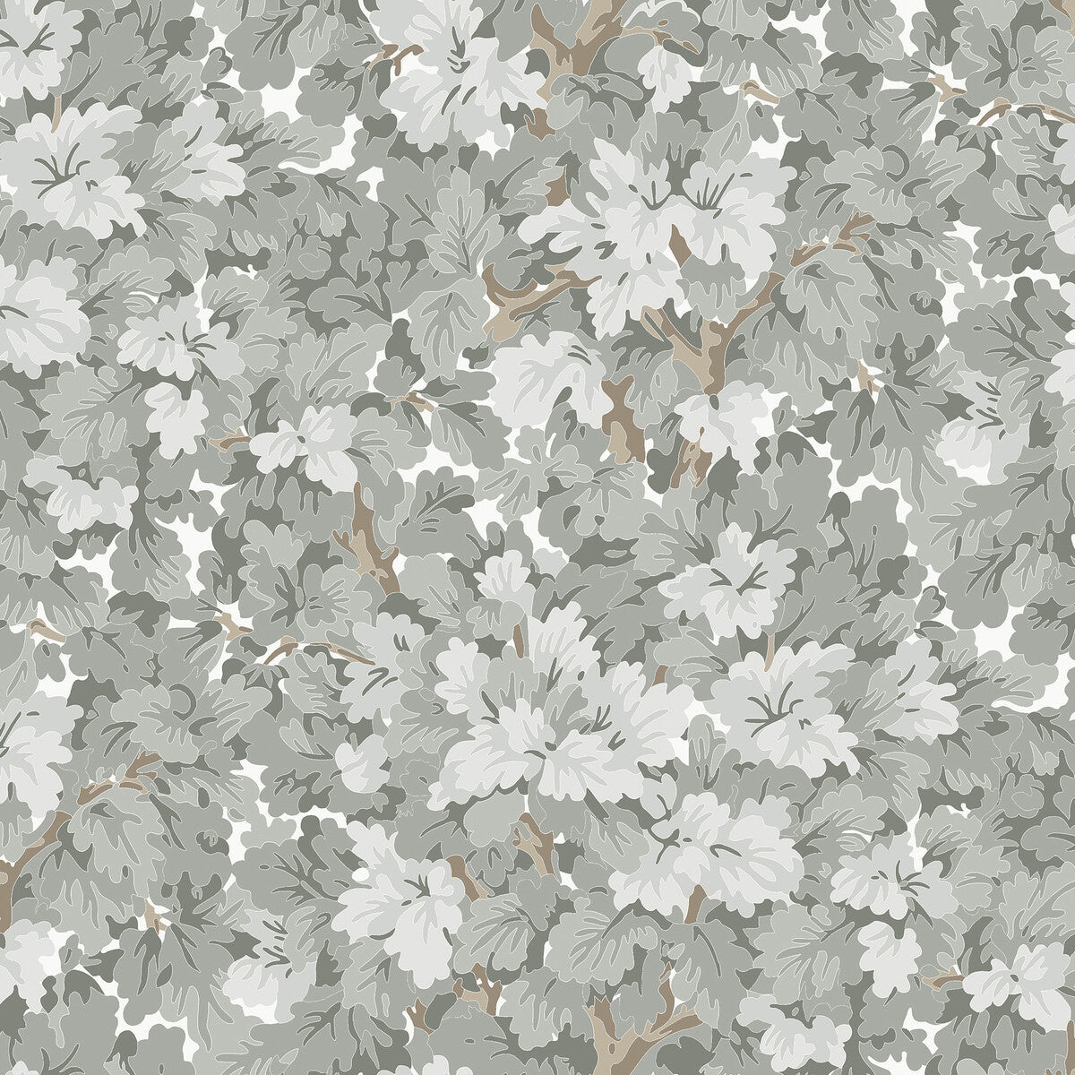 wdr2002wt0-walden-fog-winfield-thybony - WINFIELD THYBONY Wallpaper