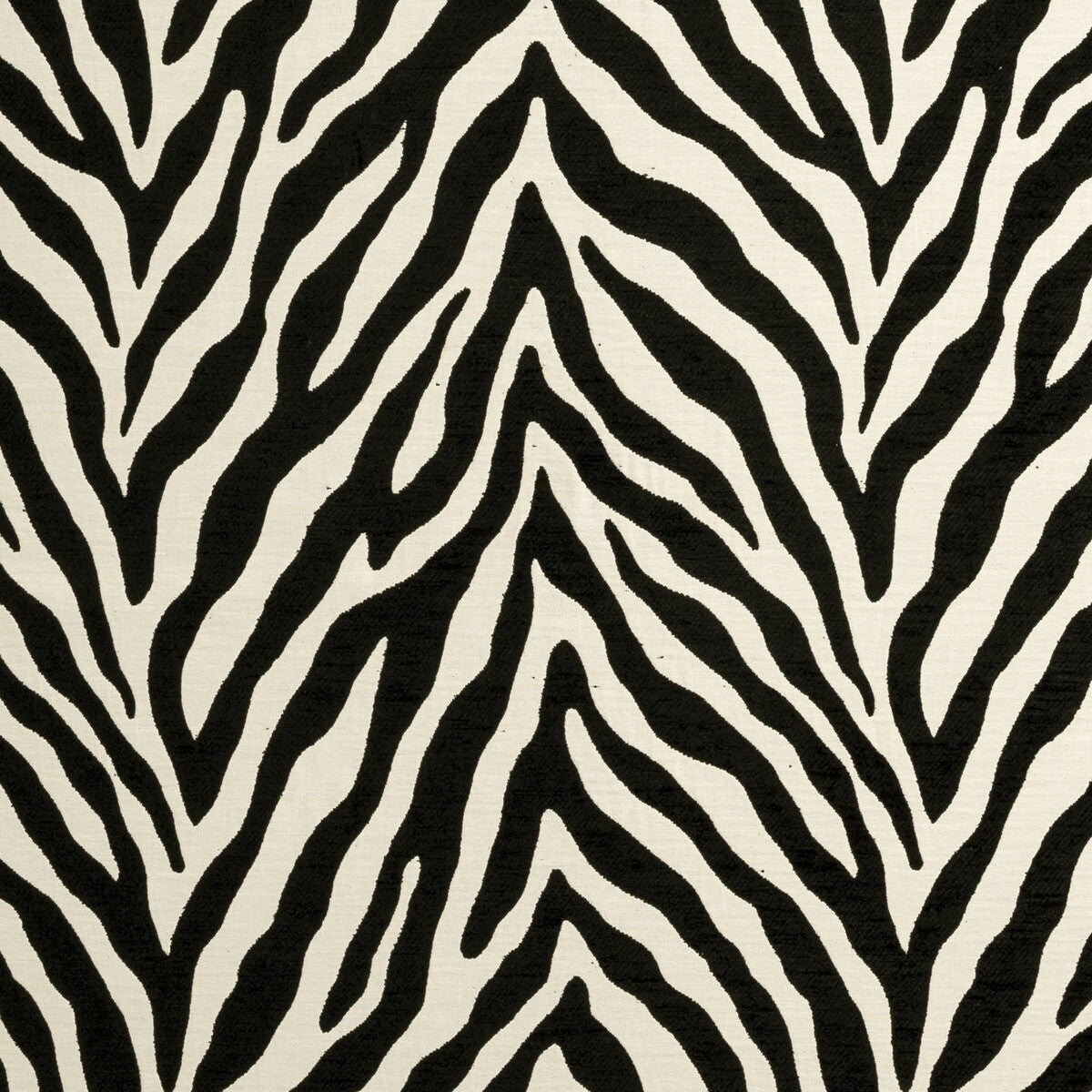 f090201cac0-bw1029-blackwhite-clarke-and-clarke - CLARKE AND CLARKE Fabric