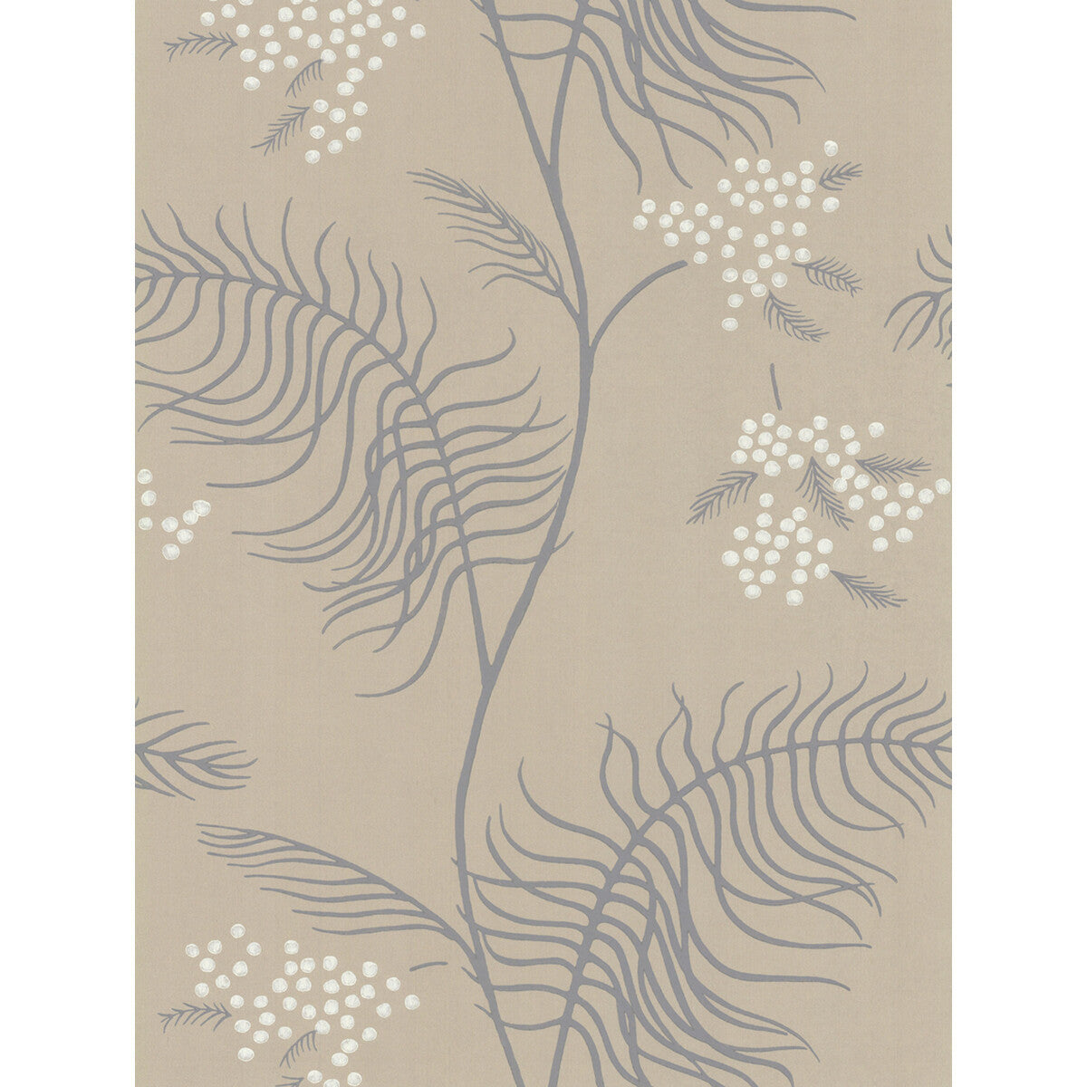 698131cs0-mimosa-sandstone-cole-son