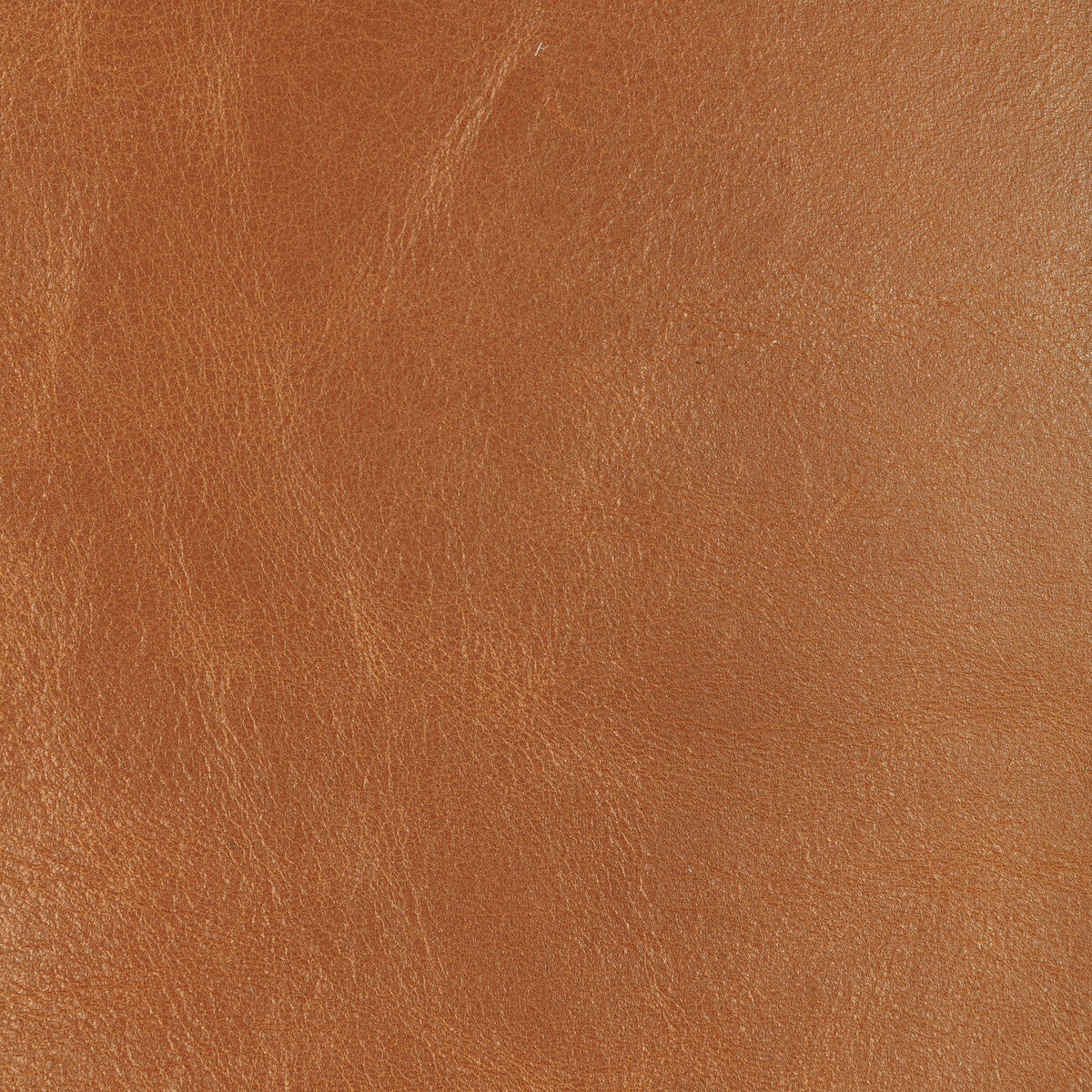 l-droverssaddle0-kravet-design-l-drovers-saddle-kravet-design