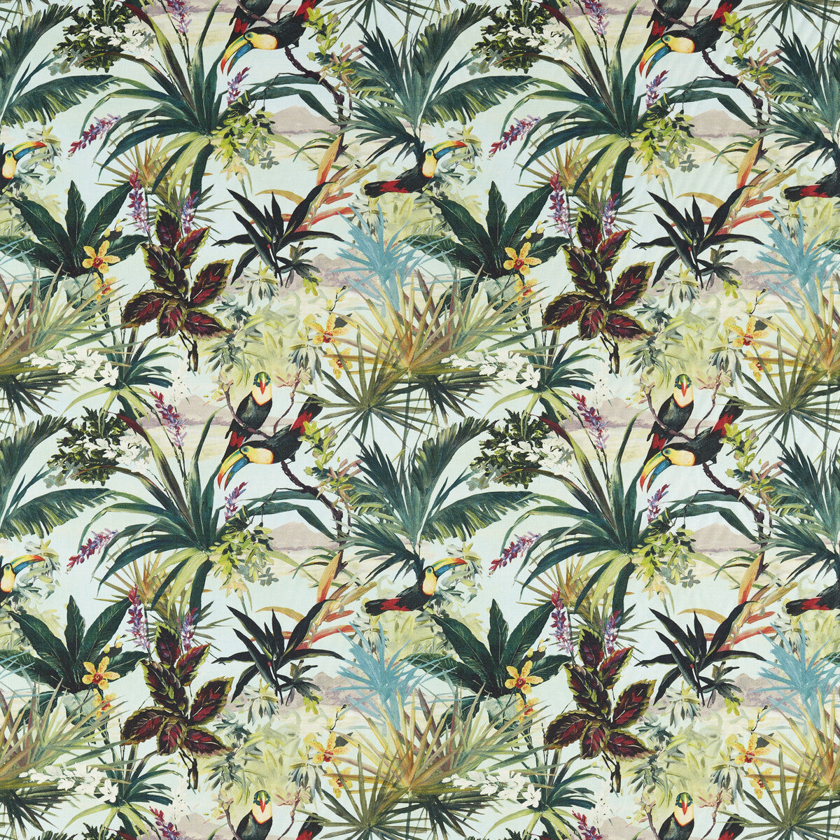 f161403cac0-toucan-sky-clarke-and-clarke