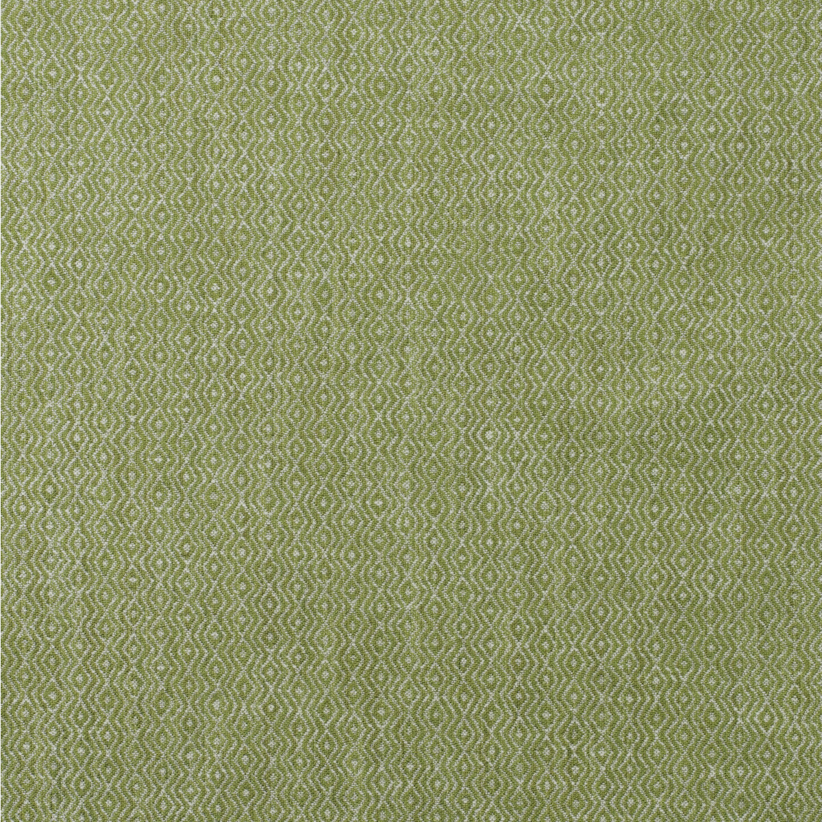 am1004373160-riverbank-reed-kravet-couture