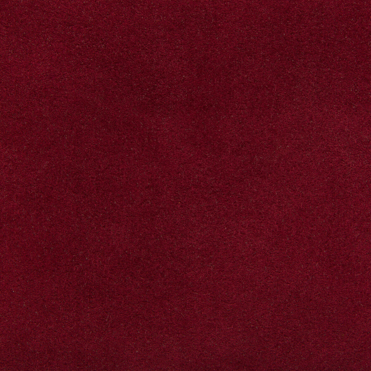ultrasuede12400-ultrasuede-berry-kravet-design - KRAVET DESIGN Fabric