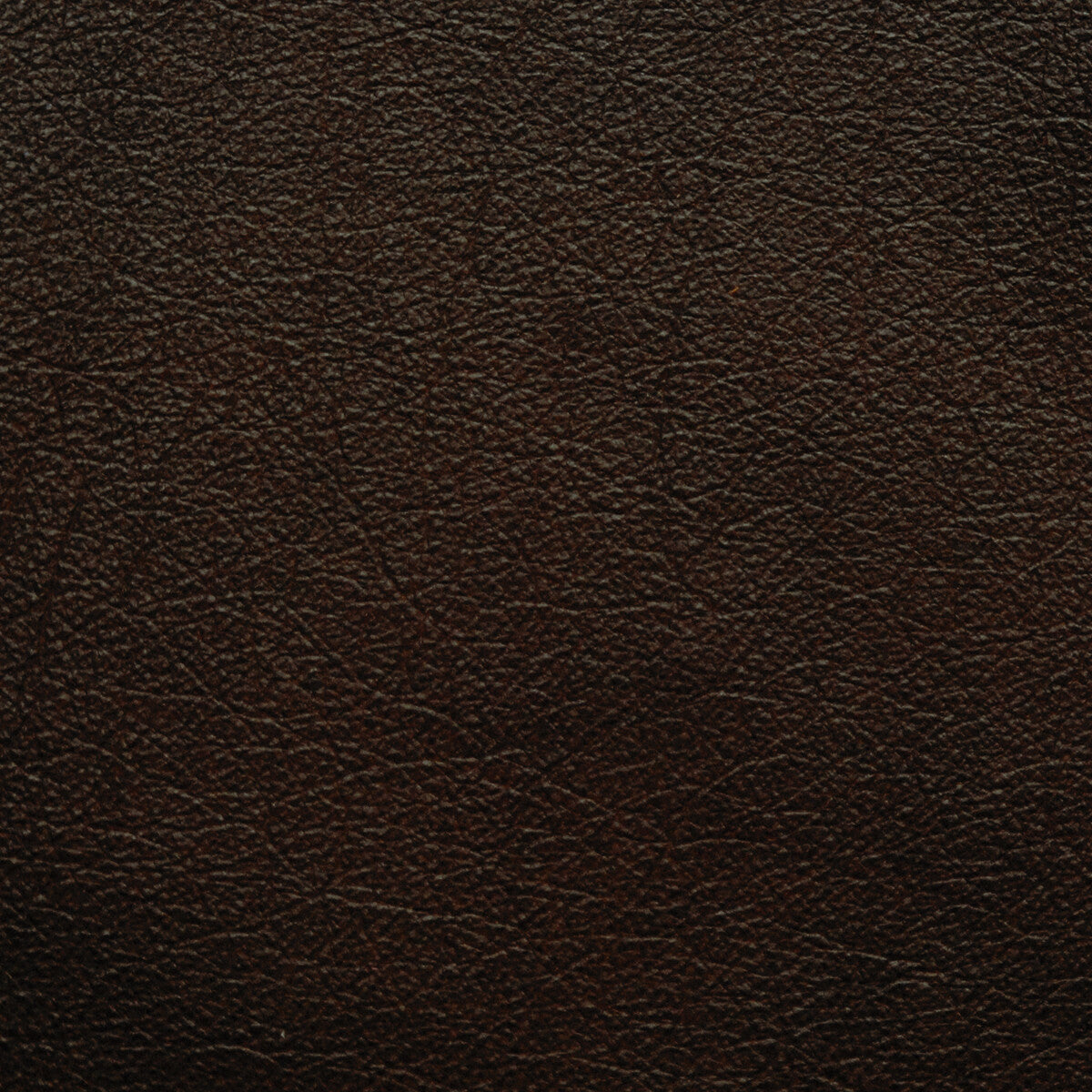 l-portofinchocolate0-kravet-design-l-portofin-chocolate-kravet-design