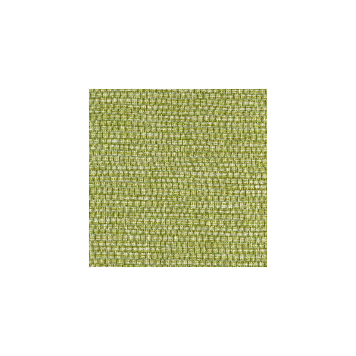 wpw1146wt0-panama-envy-winfield-thybony - WINFIELD THYBONY Wallpaper