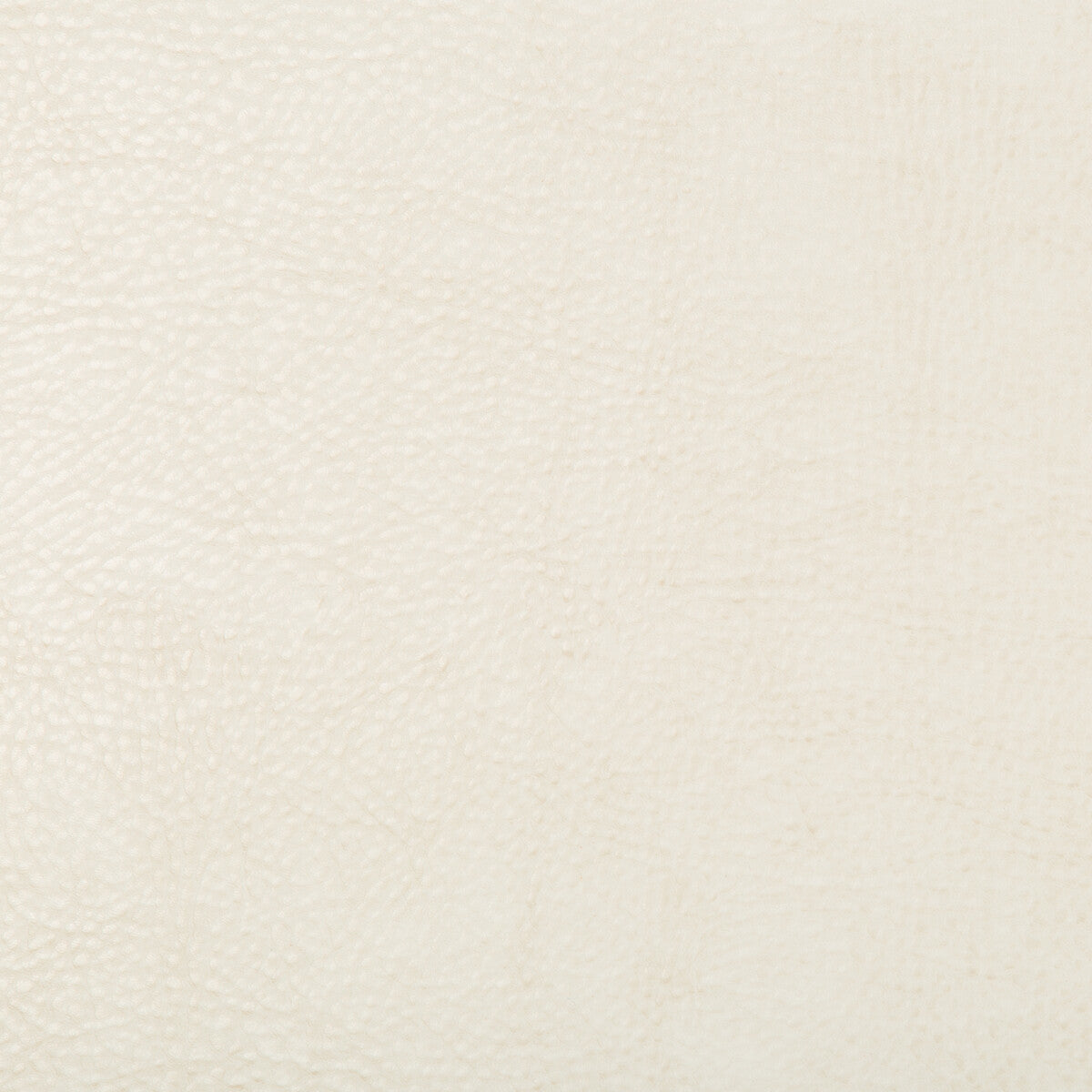 beholder10-kravet-design-beholder-1-kravet-design